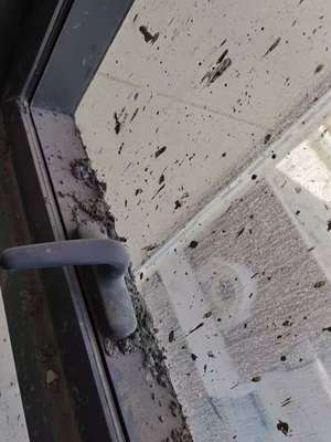 西寧專業(yè)保潔與維修服務(wù)指南 開荒、精保潔、清洗及防水補(bǔ)漏